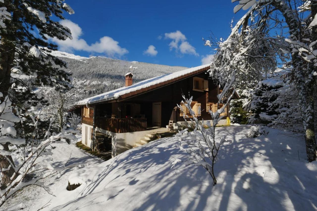 Vila Sous Les Ecotagnes Les Villards-sur-Thônes Exteriér fotografie