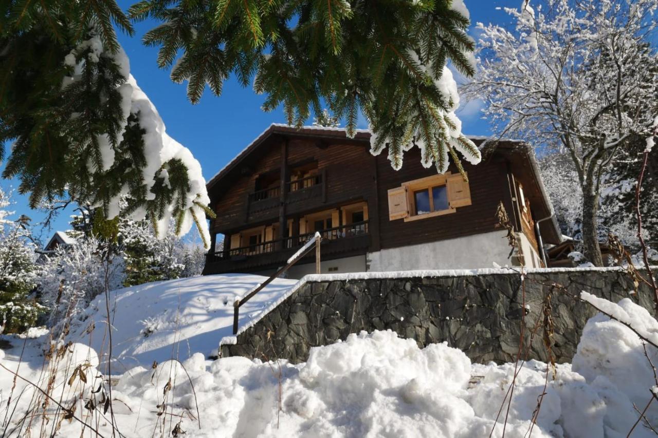 Vila Sous Les Ecotagnes Les Villards-sur-Thônes Exteriér fotografie